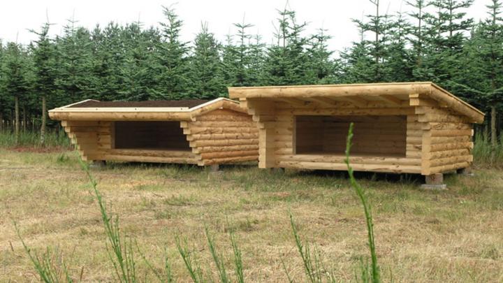 2 shelters