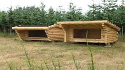 2 shelters